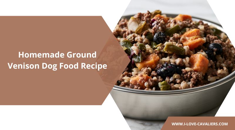 Homemade Ground Venison Dog Food Recipe