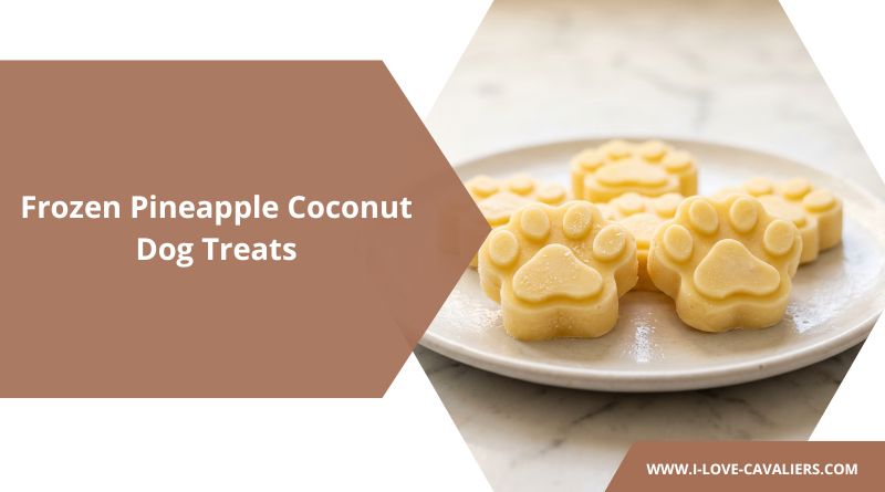 DIY Frozen Pineapple Coconut Dog Treats