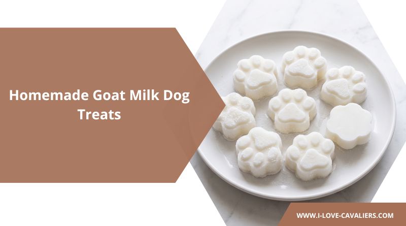 Homemade Goat Milk Dog Treats