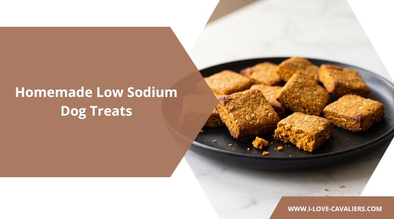 Homemade Low Sodium Dog Treats