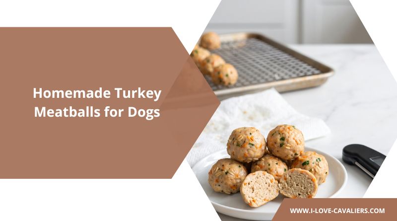 Homemade Turkey Meatballs for Dogs