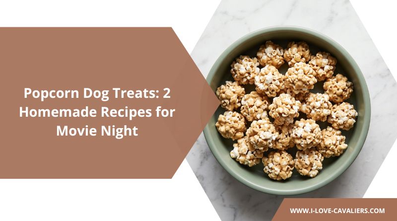 Popcorn Dog Treats 2 Homemade Recipes for Movie Night