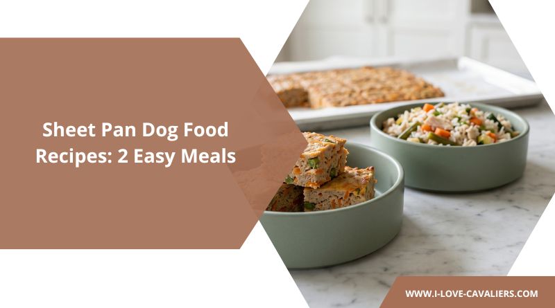 Sheet Pan Dog Food Recipes 2 Easy Meals